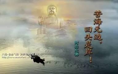 回头无岸,命运之轮的不可逆转之旅