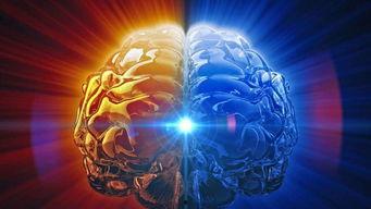 外星大脑,宇宙智慧之谜的探索之旅